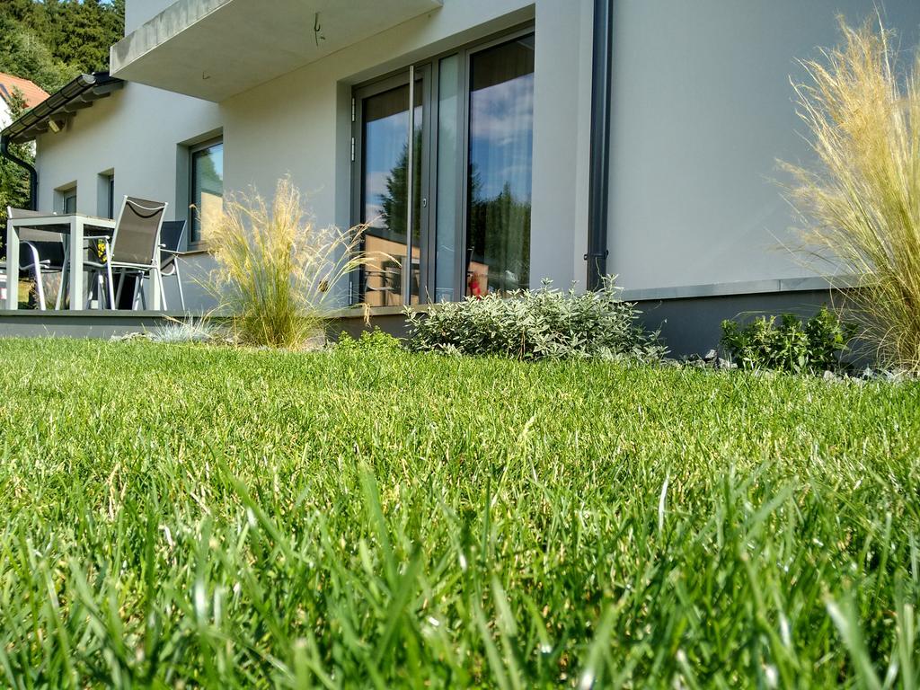 Winterstein Apartment Haus Sembachtal מראה חיצוני תמונה
